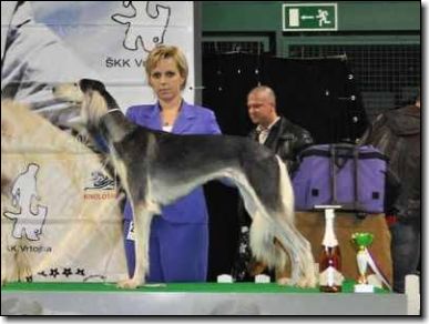 10.11.11.2012 Vrtojba-�eptember, SLO Asianne_1