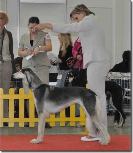 25.3.2012 Nitra_1