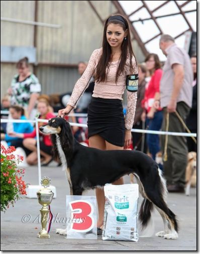 31.8.2014 Azira M.Boleslav_1