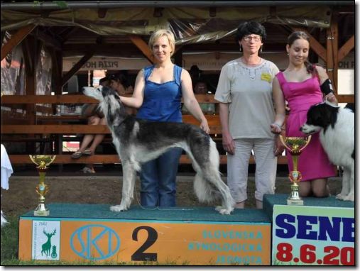 Asianne Al Zahra - NVP Senec 08.06.2012 res.BIS winner of honour class