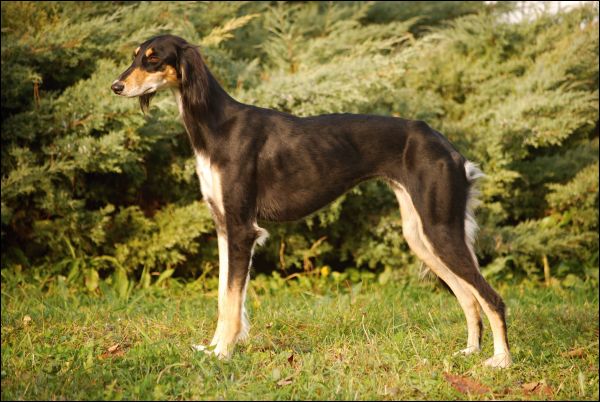 Atiya15m
