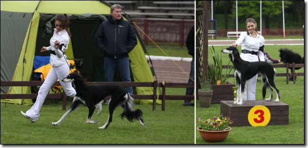 BOB, BIG 3 Jelenia Gora 13.5.2012