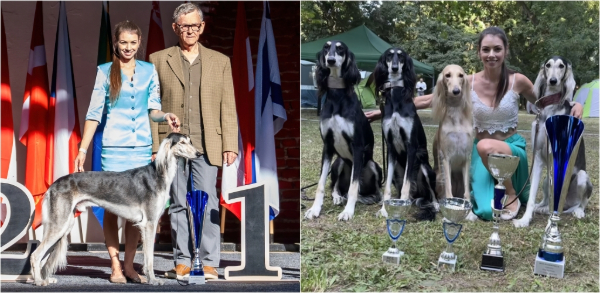 MVP Velká Ida