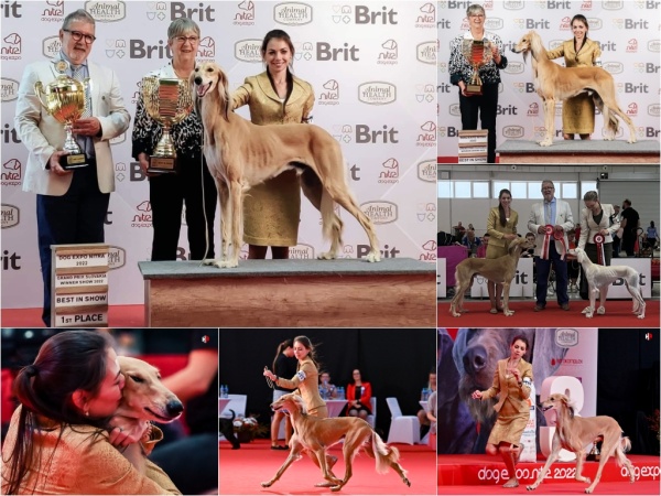 Al Zahra Best in Show