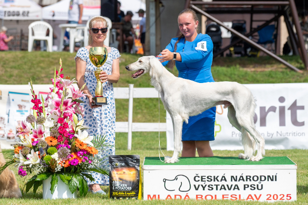 NVP Mladá Boleslav - Liam JBIG