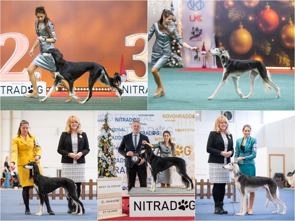 Nitra