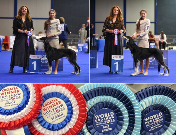 Croatia Winner Show