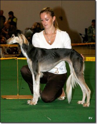 Aliyah 9.10.2010 �.Bud�jovice