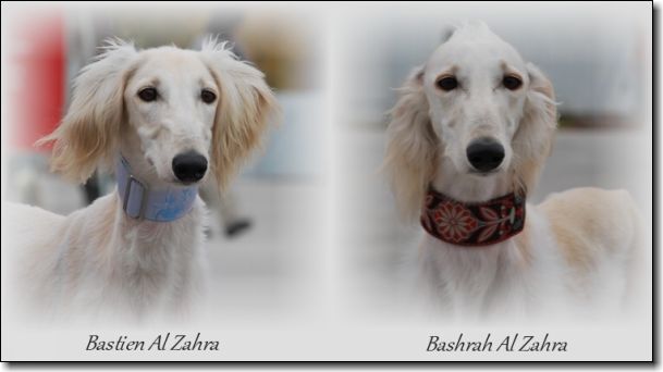 Bastien+Basharah 5.11.2011