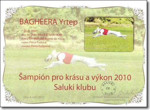 CH B+P SKBagheera
