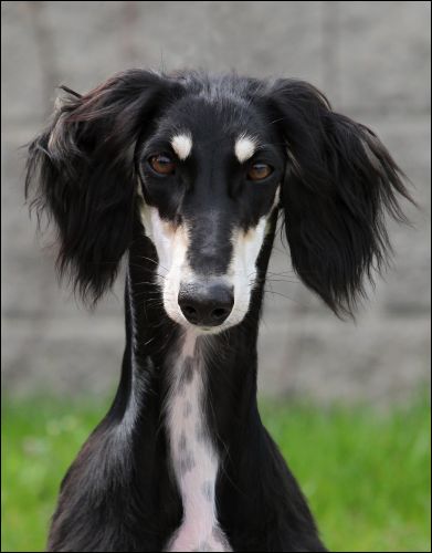 Rhory head near 9 months