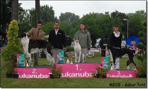 Szekesfehervar BIG III