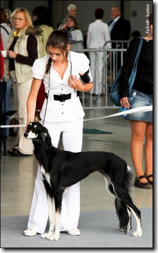 Zara 19.6.2010 Brno