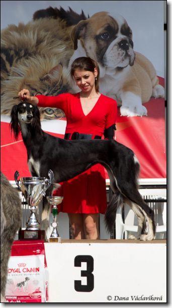 Zara Litomerice 22.5.2011