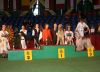 calamus TWISTER PRINCE opole 2009